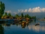 DAL_LAKE