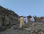 JABAL_AL_THAWR