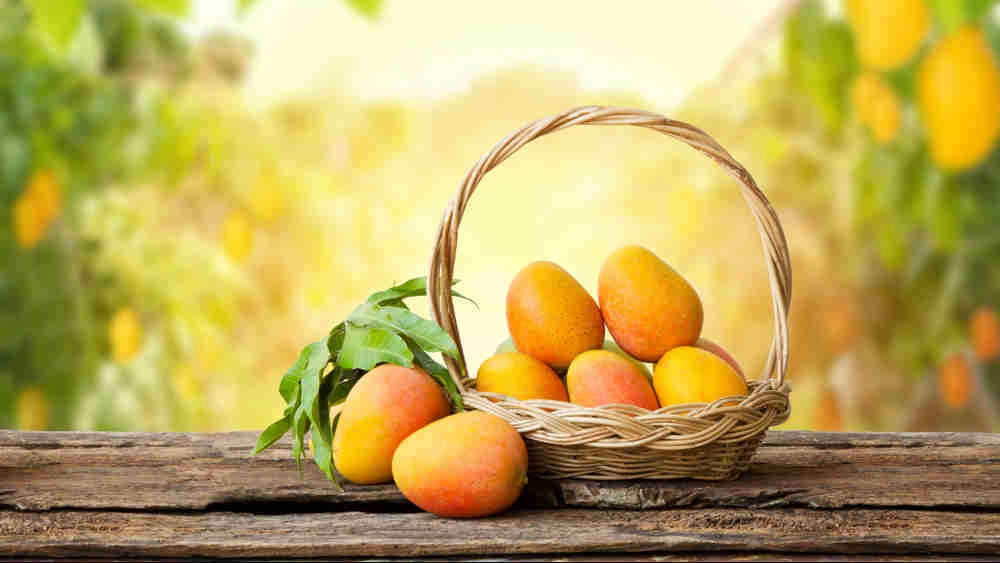 National Mango Day- Visit For A Flavourful Journey