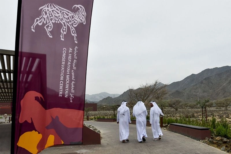 UAE's Lake Amid Mountains Open To Visitors Now In Sharjah 