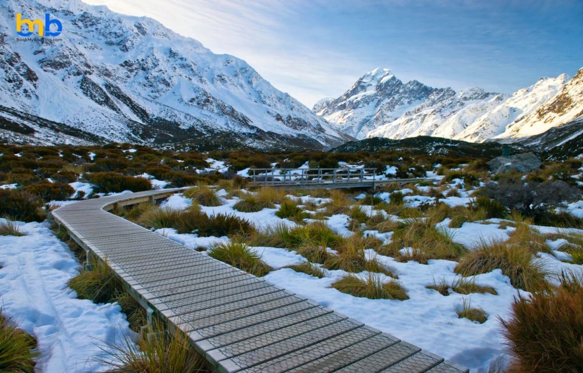 New Zealand Introduces Expanded New Work Visa Policies Strengthening Career Pathways 