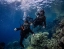 TRY_SCUBA_DIVING_IN_JEDDAH