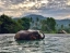 SAMUI_ELEPHANT_SANCTUARY_BOPHUT