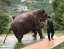 SAMUI_ELEPHANT_SANCTUARY_BOPHUT