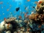 UNDERWATER_WORLD_PATTAYA