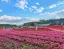 DALAT_FLOWER_PARK