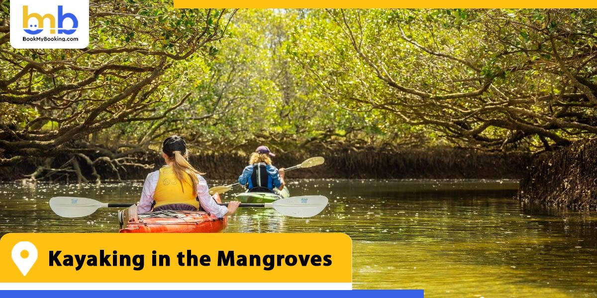 kayaking in the mangroves from bookmybooking