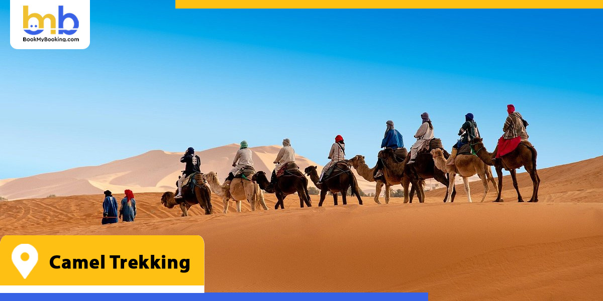 camel trekking from bookmybooking