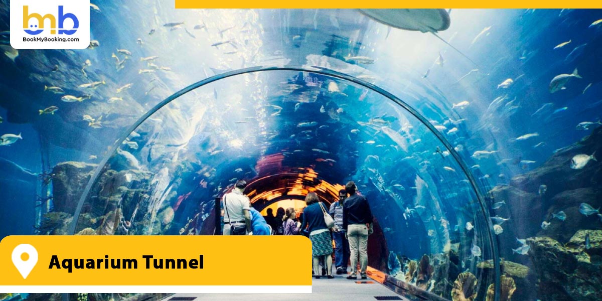 Aquarium Tunnel