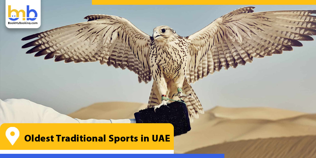 oldest traditional sports in uae from bookmybooking