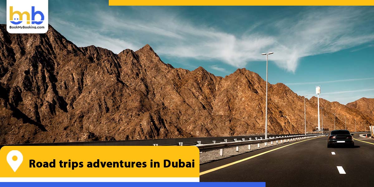road trips adventures in dubai from bookmybooking