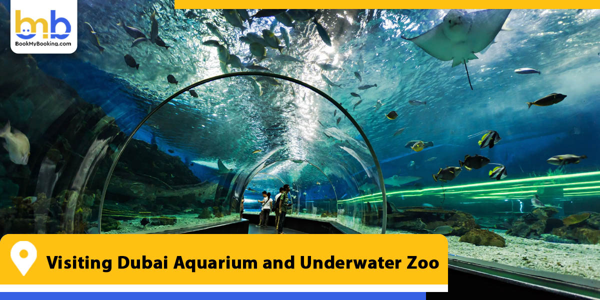 visiting dubai aquarium and underwater zoo from bookmybooking