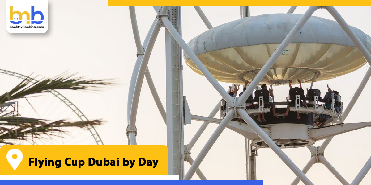 flying cup dubai by day from bookmybooking