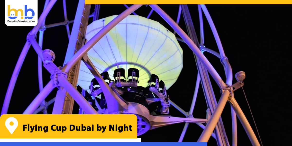 flying cup dubai by night from bookmybooking