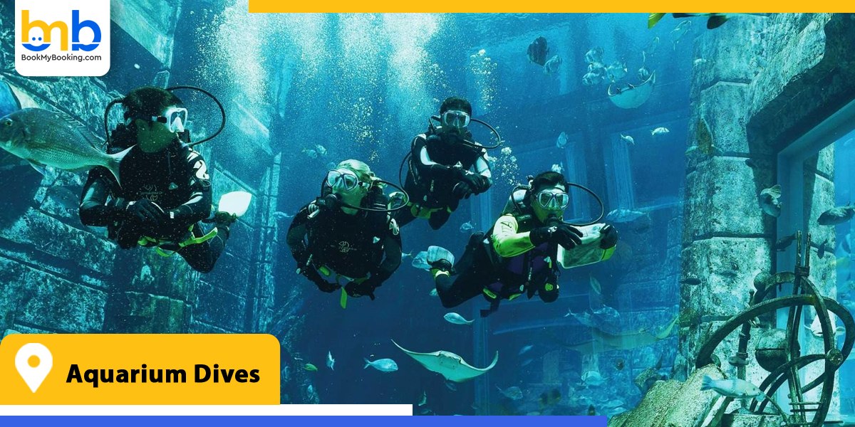 aquarium dives from bookmybooking