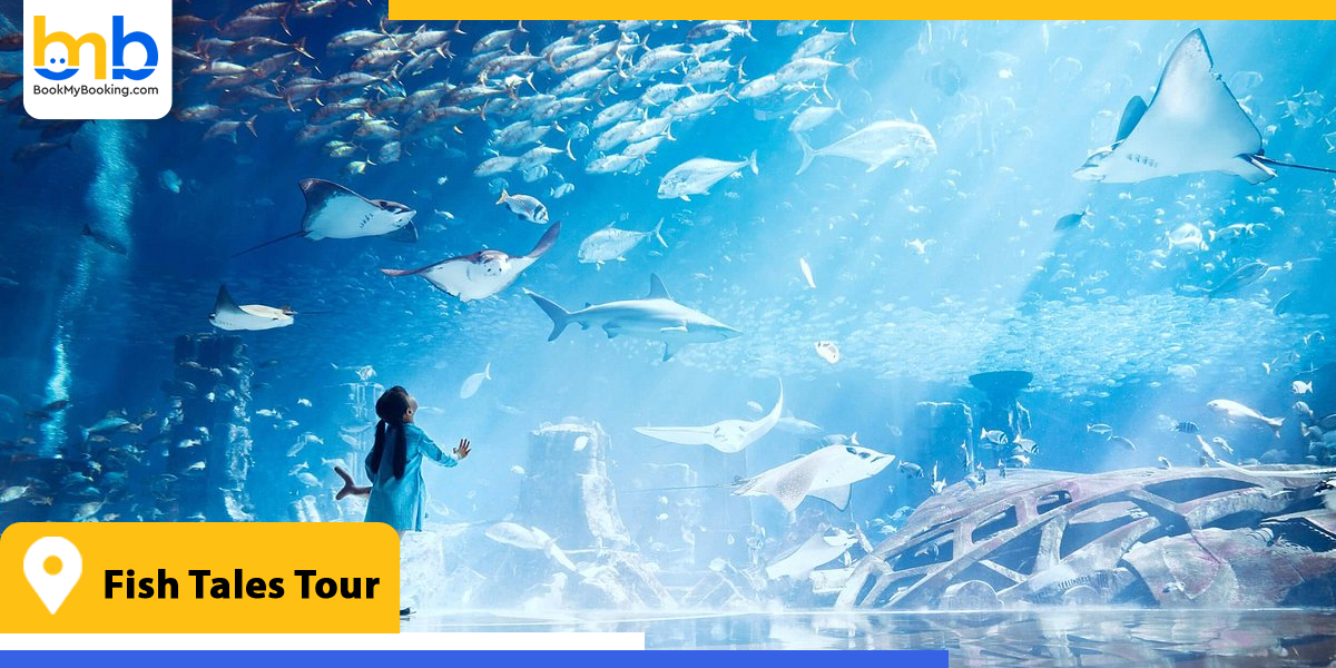 fish tales tour from bookmybooking