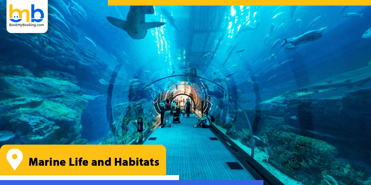 marine life and habitats from bookmybooking