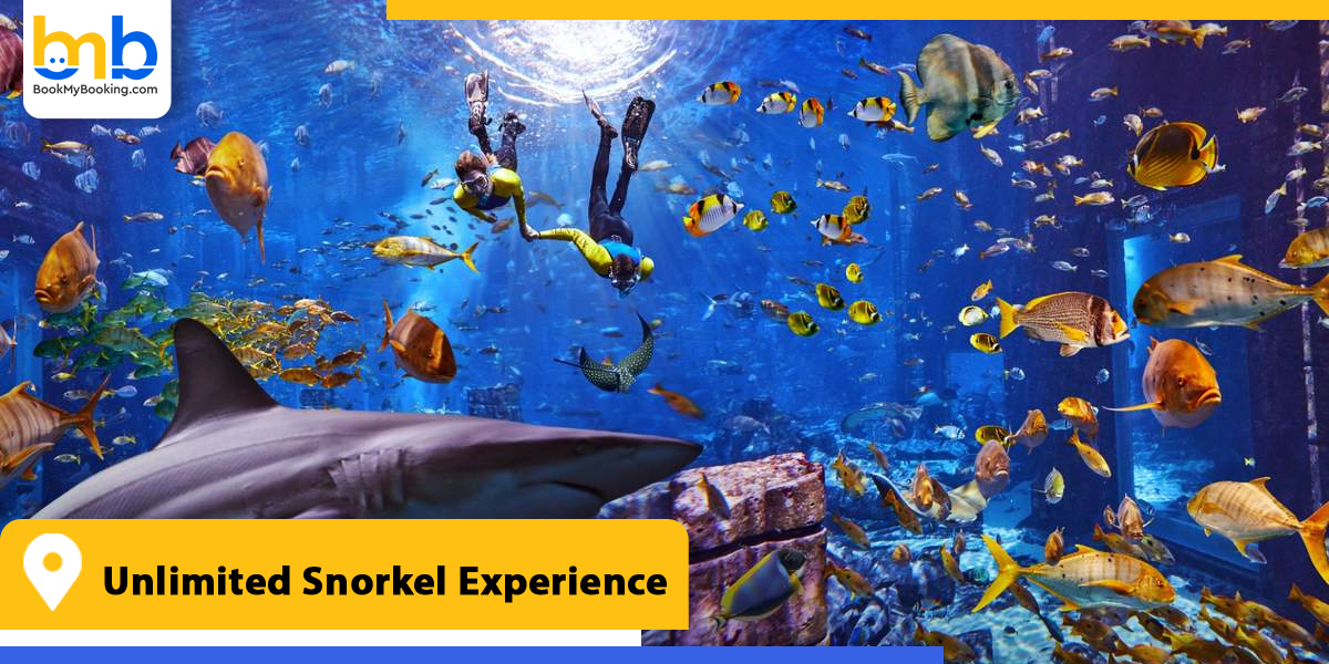 unlimited snorkel experience from bookmybooking