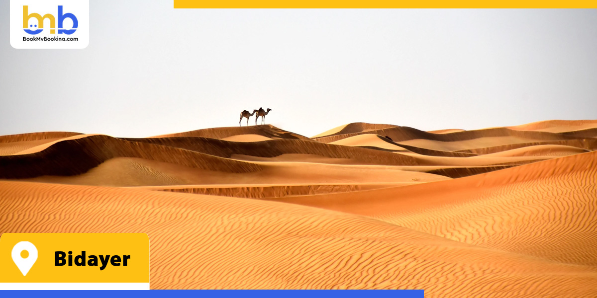 bidayer desert safari from bookmybooking