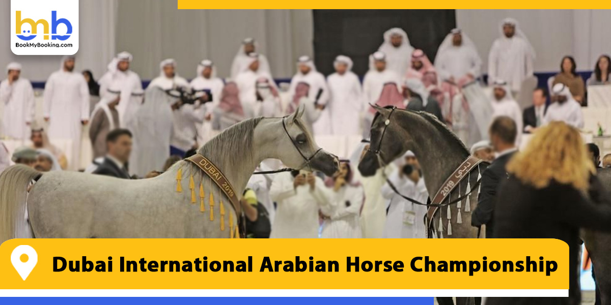 dubai international arabian horse championship from bookmybooking