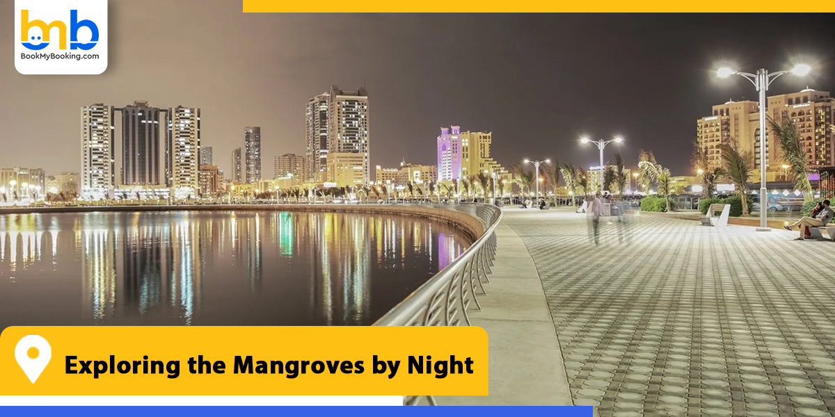 exploring the mangroves by night from bookmybooking