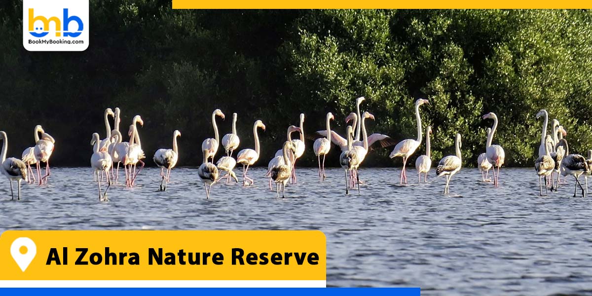 al zohra nature reserve from bookmybooking