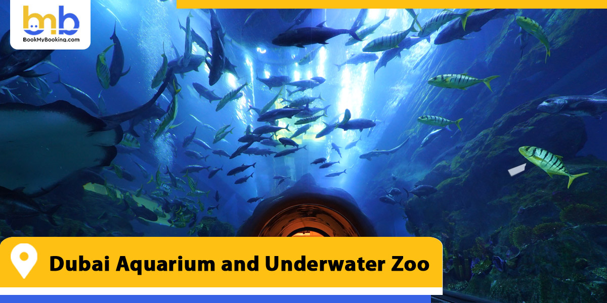 dubai aquarium and underwater zoo from bookmybooking