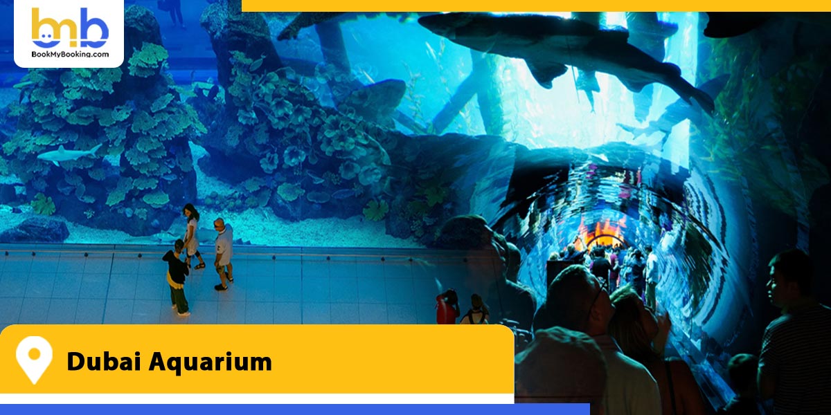 dubai aquarium from bookmybooking