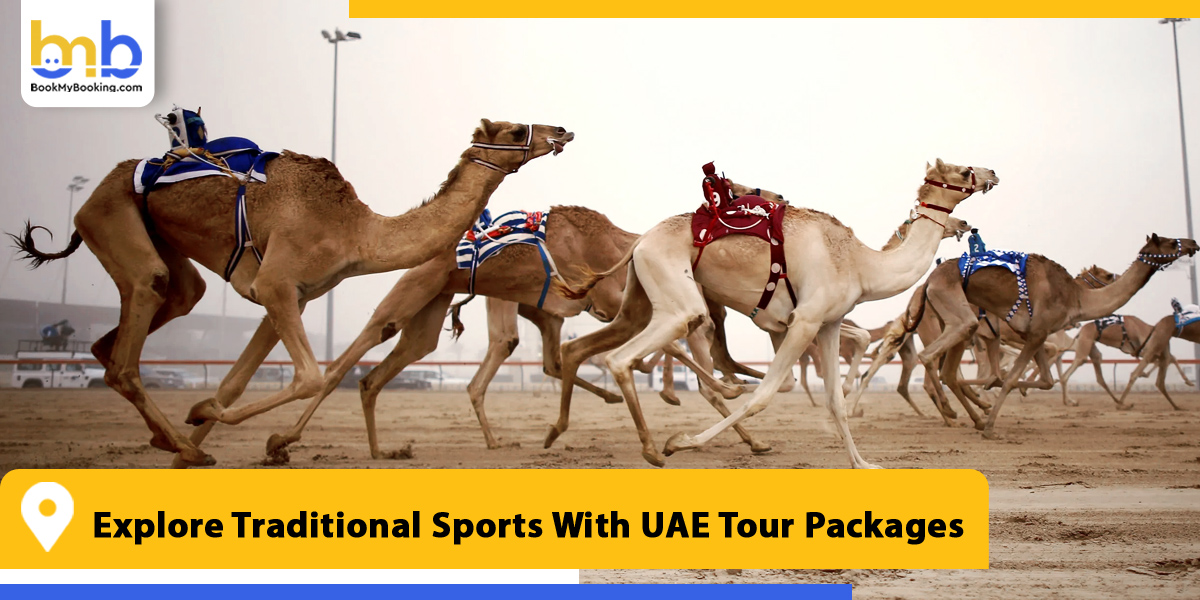 explore traditional sports with uae tour packages from bookmybooking