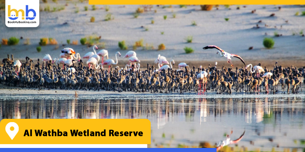 al wathba wetland reserve from bookmybooking