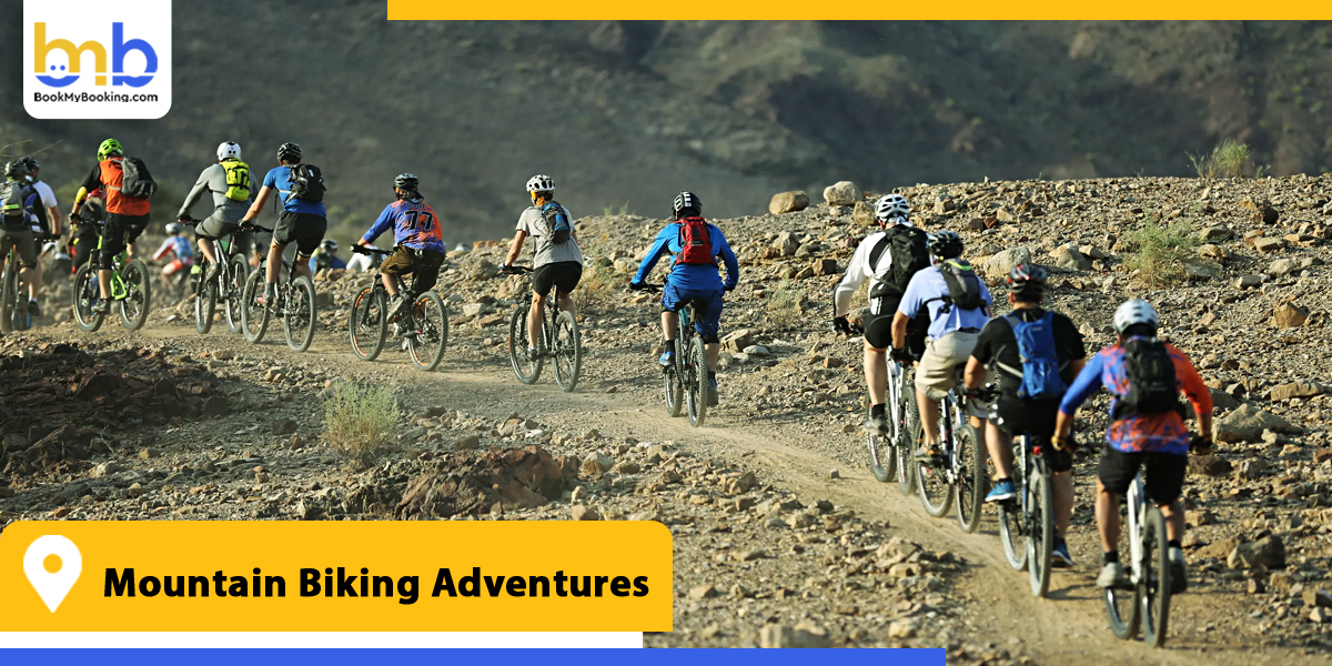 mountain biking adventures from bookmybooking