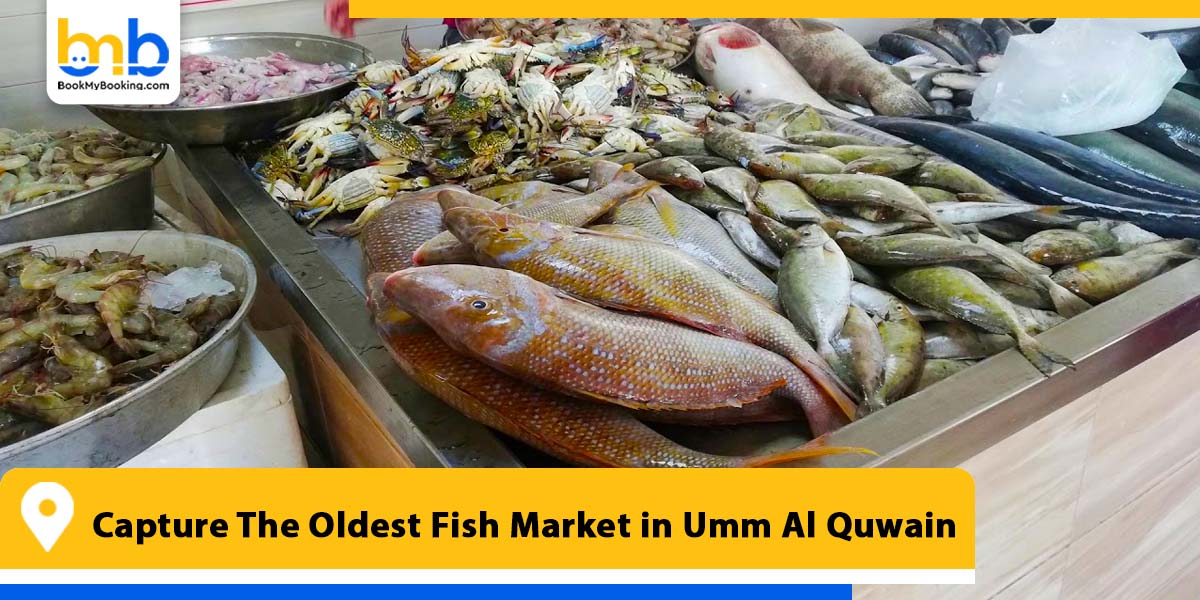 capture the oldest fish market in umm al quwain from bookmybooking