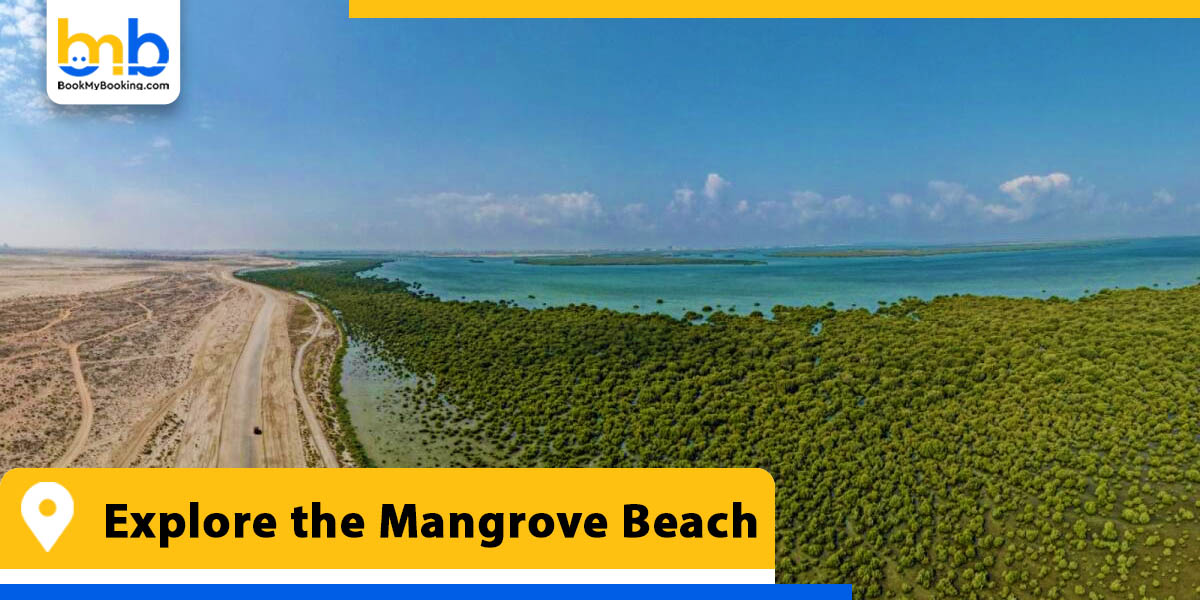 explore the mangrove beach from bookmybooking