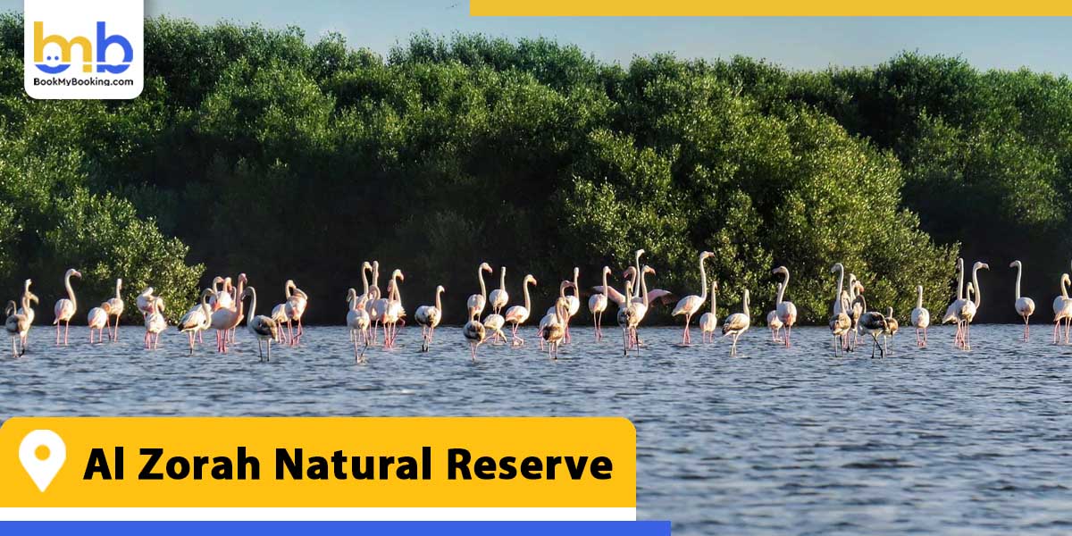 al zorah natural reserve from bookmybooking