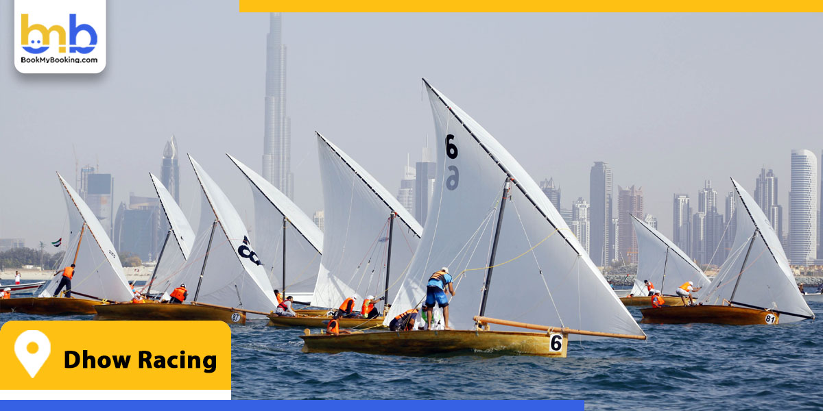 dhow racing from bookmybooking