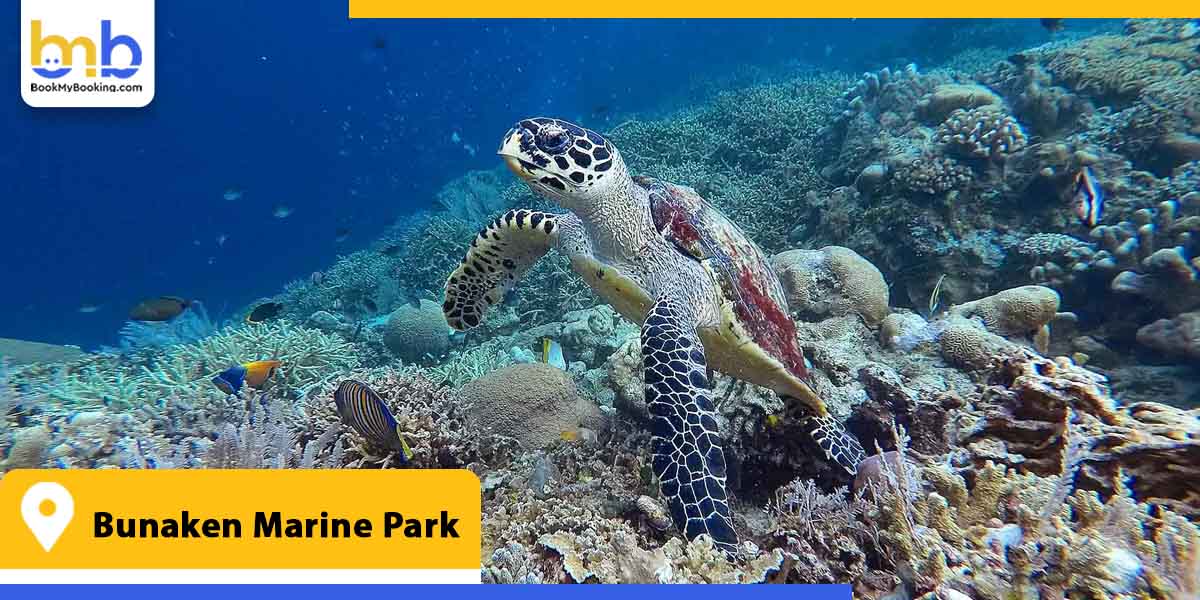 bunaken marine park from bookmybooking