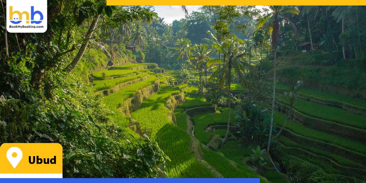 ubud from bookmybooking