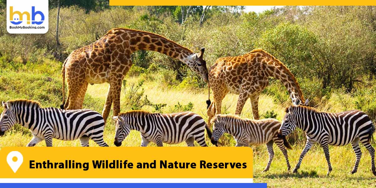 enthralling wildlife and nature reserves from bookmybooking