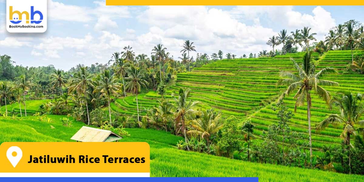 jatiluwih rice terraces from bookmybooking