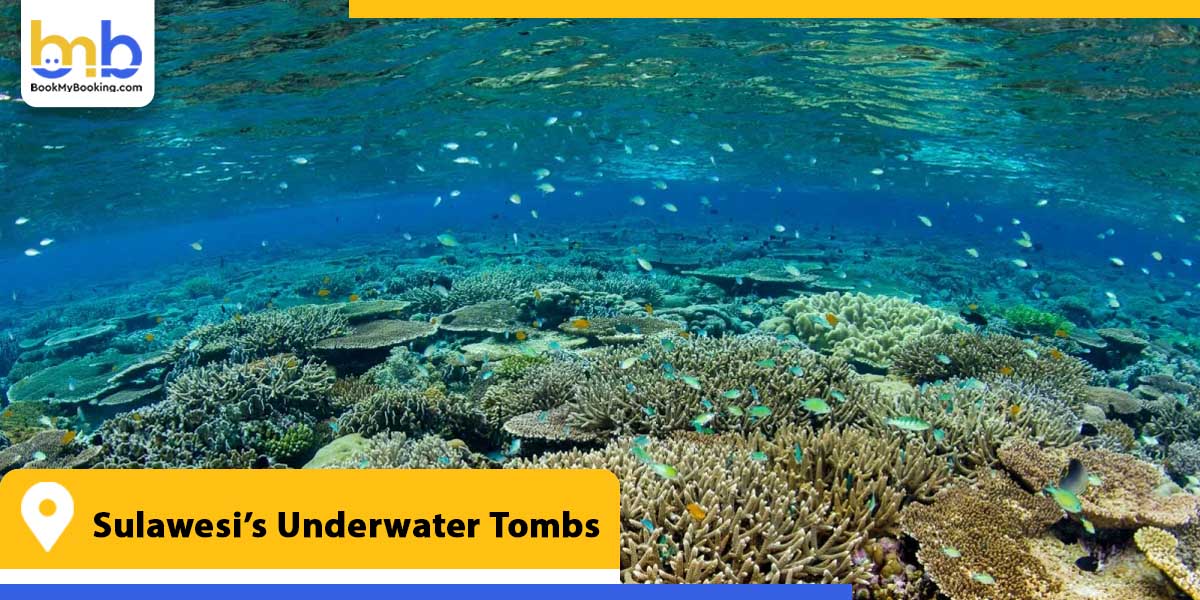 sulawesi underwater tombs from bookmybooking