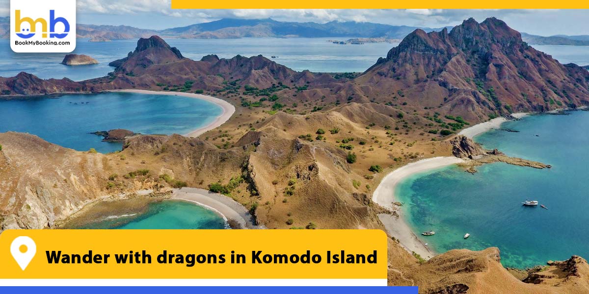 wander with dragons in komodo island from bookmybooking