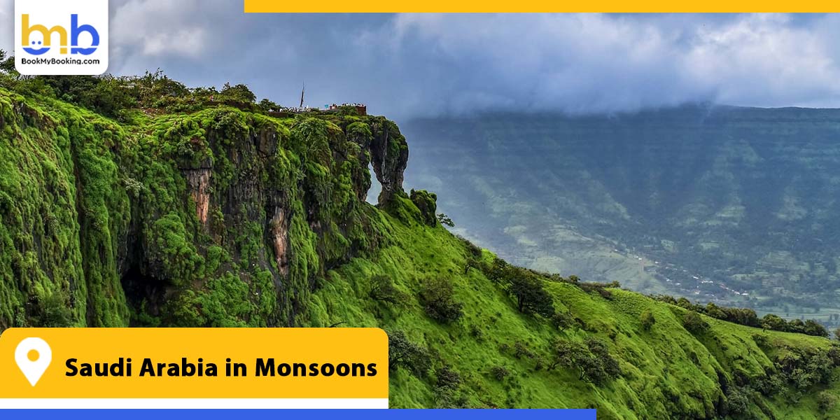 saudi arabia in monsoons from bookmybooking