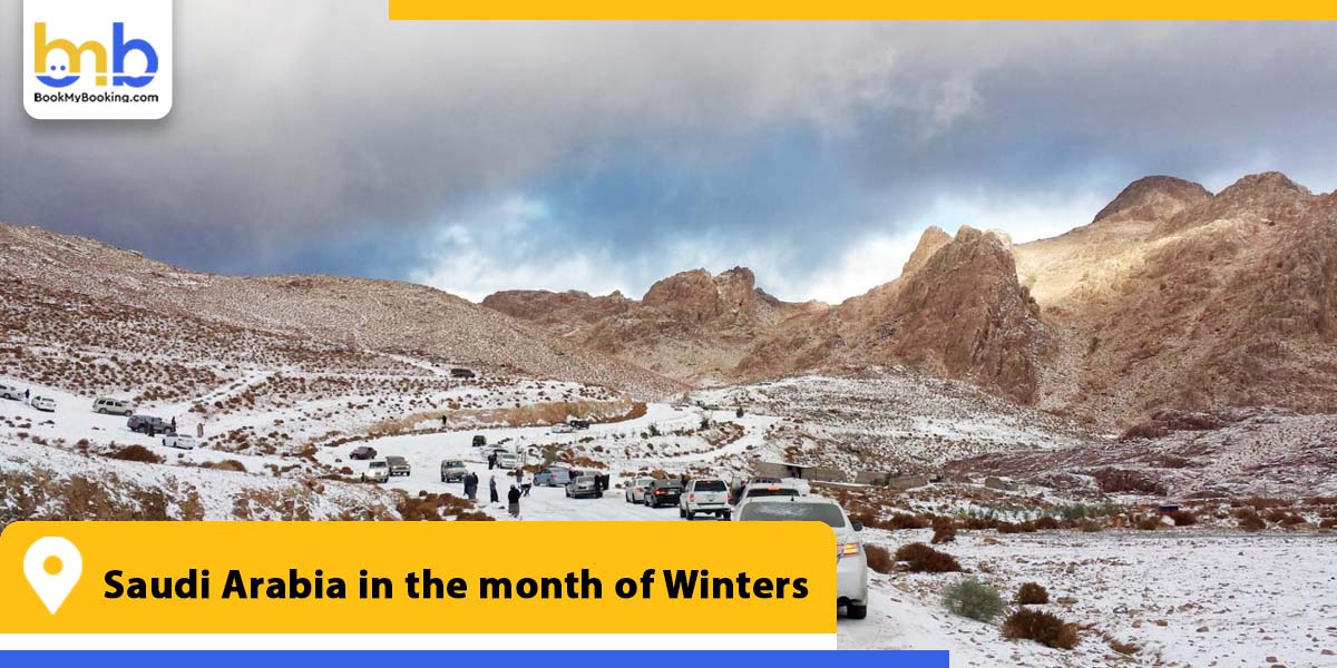 saudi arabia in the month of winters from bookmybooking