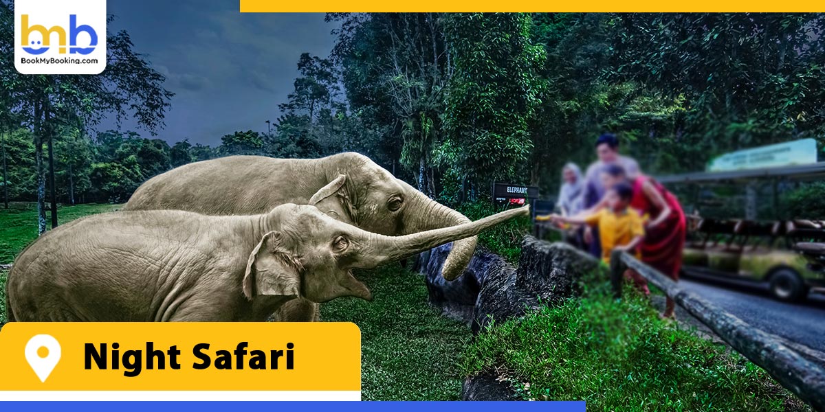 night safari from bookmybooking