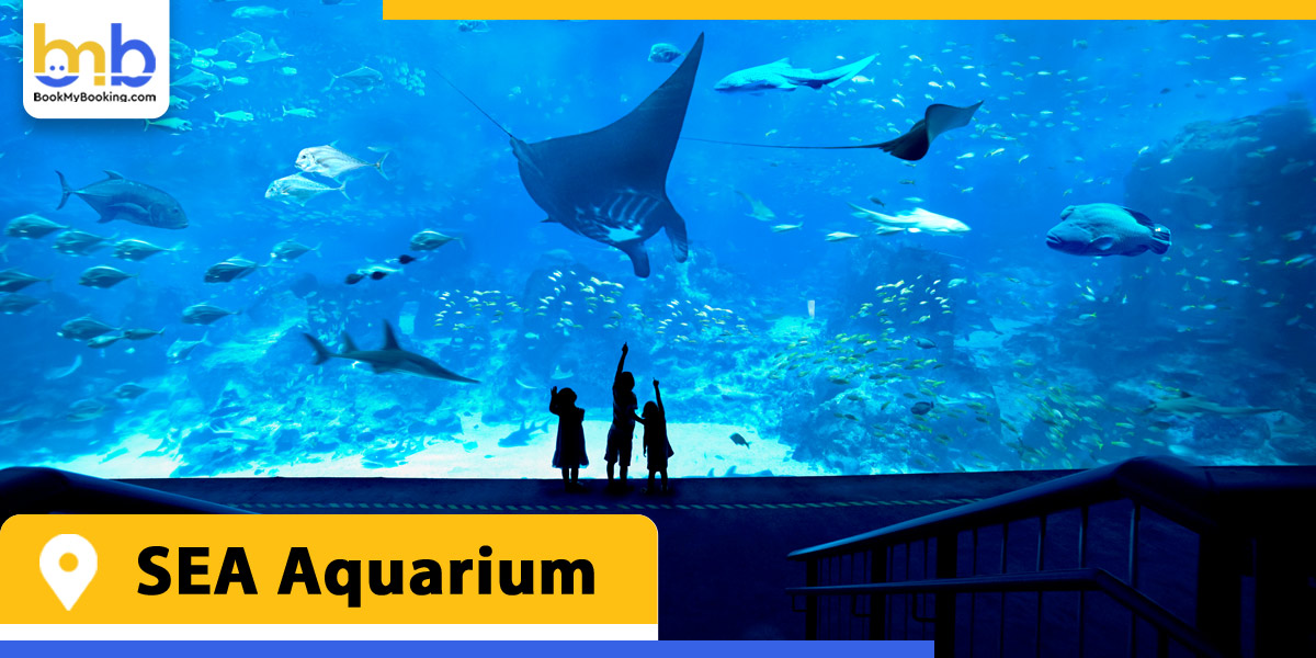 sea aquarium from bookmybooking