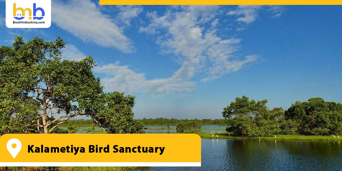 Kalametiya Bird Sanctuary Sri Lanka