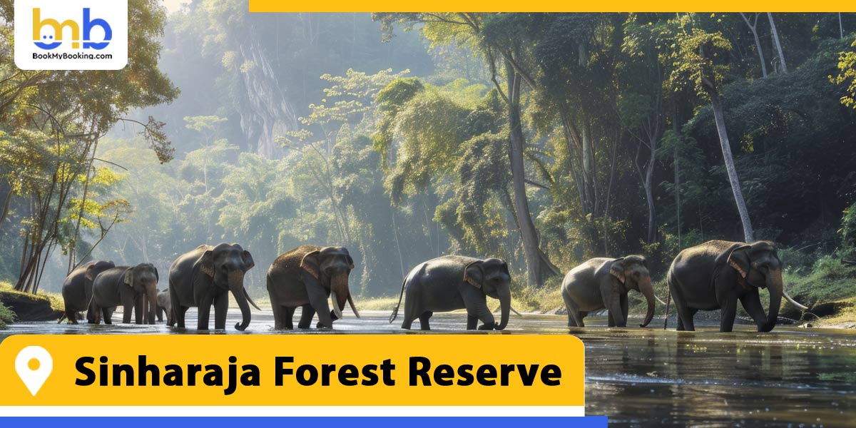 sinharaja forest reserve from bookmybooking