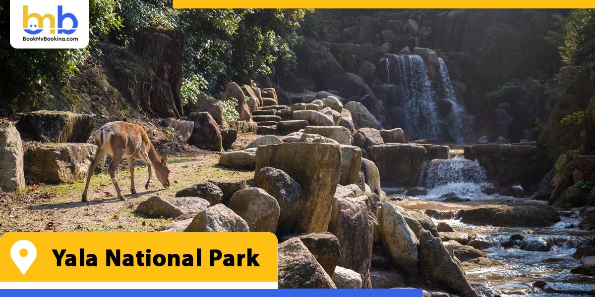 yala national park from bookmybooking