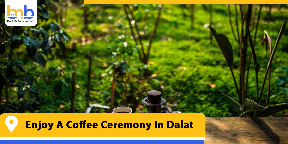 enjoy a coffee ceremony in dalat from bookmybooking