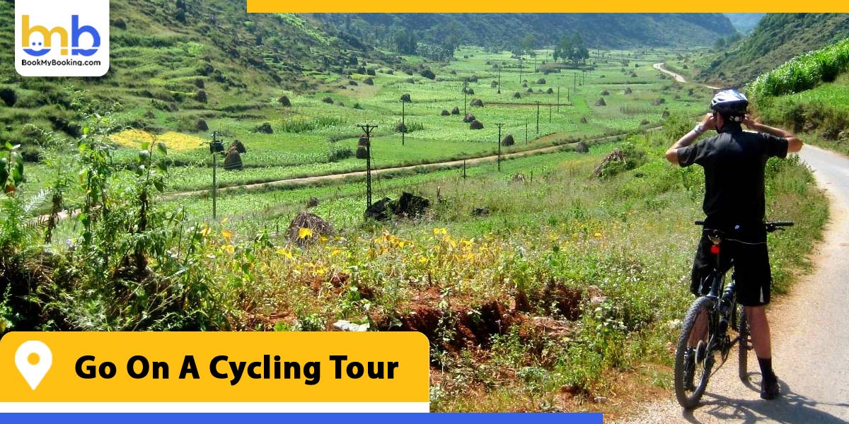 go on a cycling tour from bookmybooking